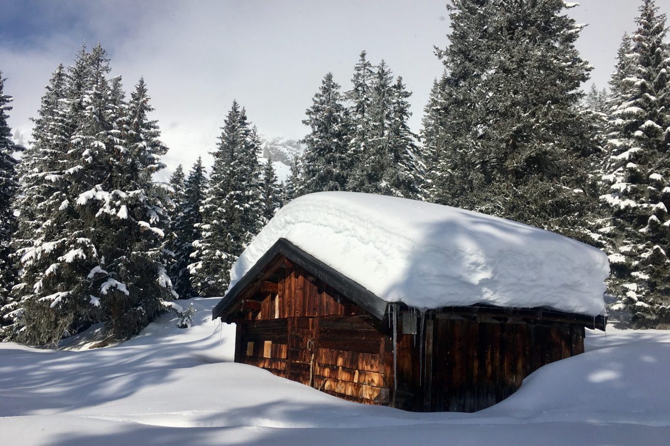 Almhütte Foto: Jürgen Riegger Schneeschuhwanderung in Warth